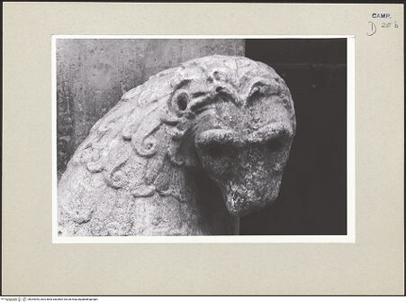 Vorderseite von Pace, Valentino [https://www.deutsche-digitale-bibliothek.de/content/lizenzen/rv-ez/] Porta dei Leoni (Portal des Atriums)Löwen - Löwe, links (Kopf), bh264054_recto. Foto: Pace, Valentino.