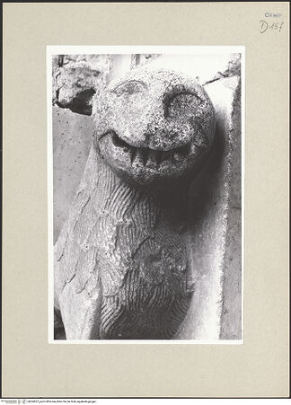 Vorderseite von Pace [https://www.deutsche-digitale-bibliothek.de/content/lizenzen/rv-ez/] Mittleres PortalLöwe (links) - Detail: Kopf, bh264057_recto. Foto: Pace, Valentino.