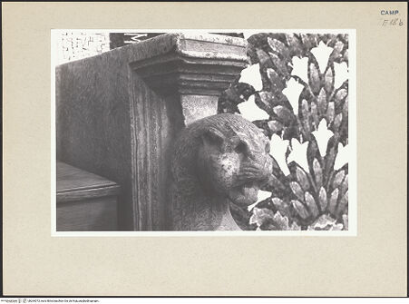 Vorderseite von Pace, Valentino [https://www.deutsche-digitale-bibliothek.de/content/lizenzen/rv-ez/] Kathedra Gregors VII. - Rechte Armlehne, Detail: Löwenkopf, bh264073_recto. Foto: Pace, Valentino.