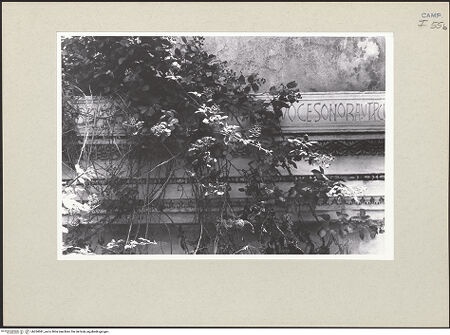 Vorderseite von Pace, Valentino [https://www.deutsche-digitale-bibliothek.de/content/lizenzen/rv-ez/] Detail, bh264081_recto. Foto: Pace, Valentino.