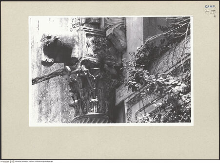 Vorderseite von Pace, Valentino [https://www.deutsche-digitale-bibliothek.de/content/lizenzen/rv-ez/] Linke Konsole und linkes Kapitell, bh264084_recto. Foto: Pace, Valentino.