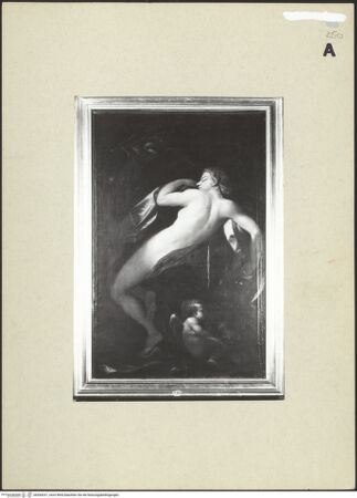 Vorderseite von bh264231_recto