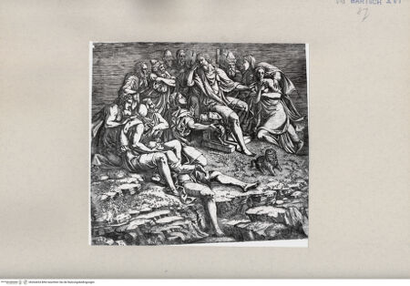 Vorderseite von  [http://creativecommons.org/publicdomain/mark/1.0/] ... - , bh264434. Foto.