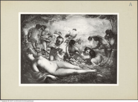 Vorderseite von bh264517_recto