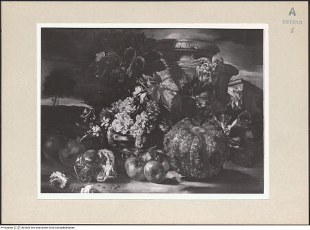 Vorderseite von bh264528_recto