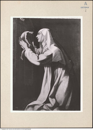 Vorderseite von bh264553_recto