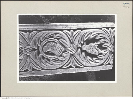 Vorderseite von Pace, Valentino [https://www.deutsche-digitale-bibliothek.de/content/lizenzen/rv-ez/] Pfeiler mit floralem Ornament und Tiere - Detail eines Pfeilers, bh264725_recto. Foto: Pace, Valentino.