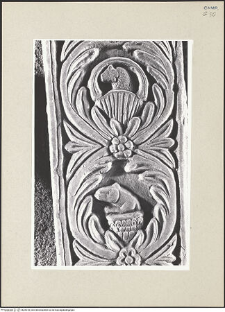 Vorderseite von Pace, Valentino [https://www.deutsche-digitale-bibliothek.de/content/lizenzen/rv-ez/] Pfeiler mit floralem Ornament und Tiere - Detail eines Pfeilers, bh264726_recto. Foto: Pace, Valentino.