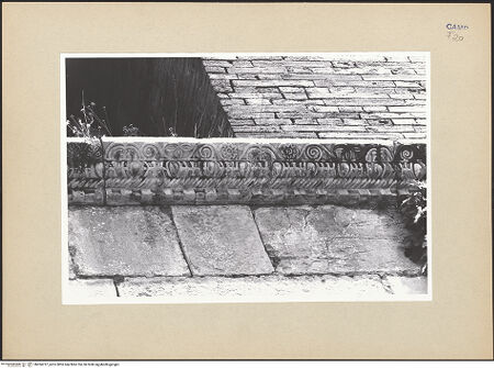 Vorderseite von Pace, Valentino [https://www.deutsche-digitale-bibliothek.de/content/lizenzen/rv-fz/] Ornamentale Gesimse des CampanileGurtgesims mit vier Ornamentzonen (Typ 1b: Sima mit Rankenfries, ionisches Kyma, seilartiges Ornament und Zahnschnitt) - Ostseite, zentraler Abschnitt, bh264737_recto. Foto: Pace, Valentino.