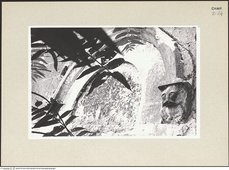 Vorderseite von Pace, Valentino [https://www.deutsche-digitale-bibliothek.de/content/lizenzen/rv-ez/] Portal zum Nordseitenschiff - Rechte Konsole, bh264739_recto. Foto: Pace, Valentino.