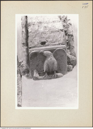 Vorderseite von Pace, Valentino [https://www.deutsche-digitale-bibliothek.de/content/lizenzen/rv-ez/] Konsole des Südquerhausarms - Ansicht von unten, bh264749_recto. Foto: Pace, Valentino.