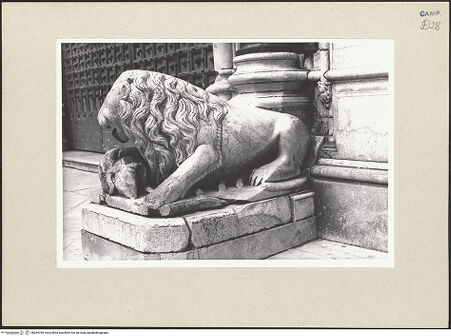 Vorderseite von Pace, Valentino [https://www.deutsche-digitale-bibliothek.de/content/lizenzen/rv-fz/] HauptportalLöwen - Rechter Löwe, bh264785_recto. Foto: Pace, Valentino.