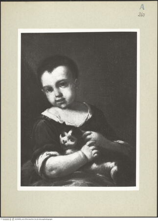 Vorderseite von bh264806_recto