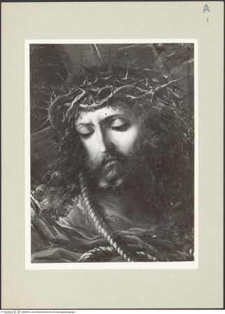 Vorderseite von bh264816_recto