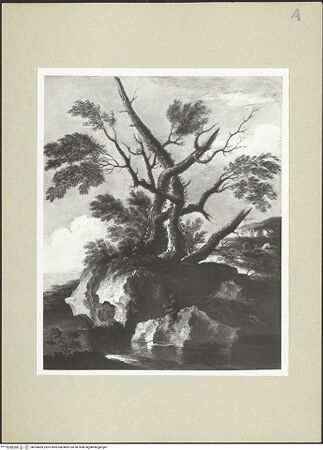 Vorderseite von bh264859_recto