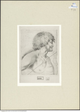 Vorderseite von bh264873_recto