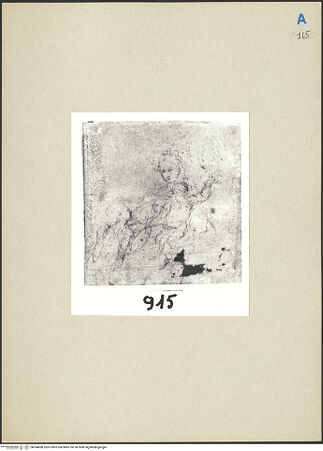 Vorderseite von bh264888_recto