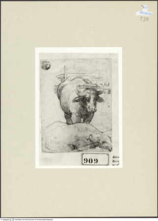 Vorderseite von bh264889_recto