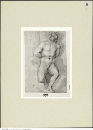 Vorderseite von bh264891_recto