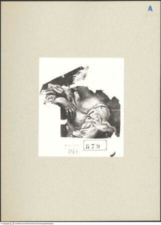 Vorderseite von bh264893_recto