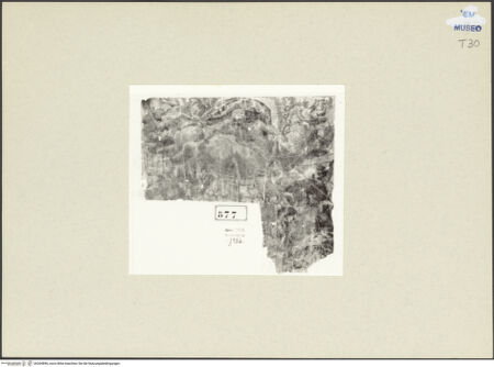 Vorderseite von bh264896_recto