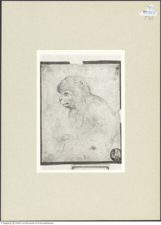 Vorderseite von bh264901_recto