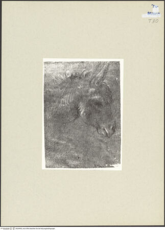 Vorderseite von bh264903_recto