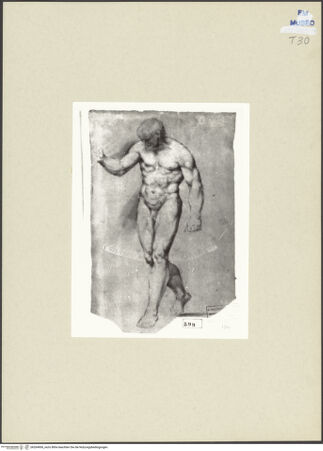 Vorderseite von bh264906_recto