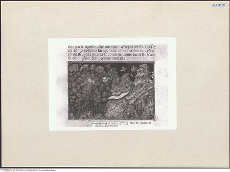 Vorderseite von bh265042_recto