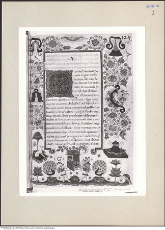 Vorderseite von bh265053_recto