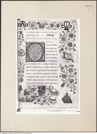 Vorderseite von bh265055_recto