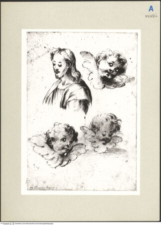 Vorderseite von bh265062_recto