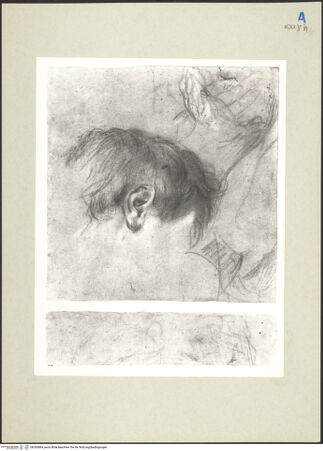 Vorderseite von bh265064_recto