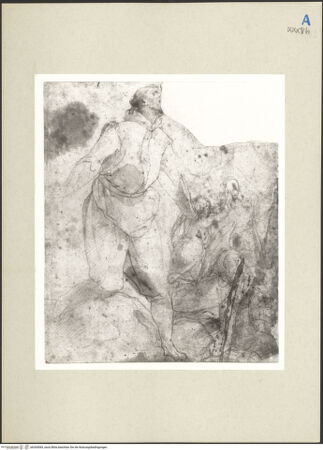 Vorderseite von bh265069_recto