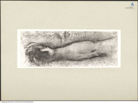 Vorderseite von bh265070_recto