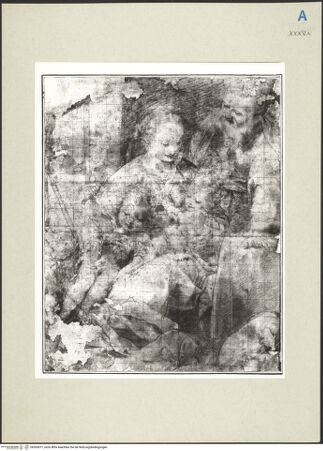 Vorderseite von bh265071_recto