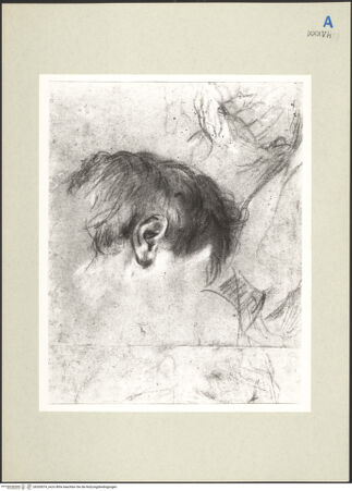 Vorderseite von bh265074_recto