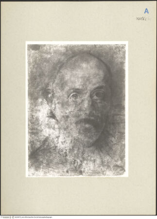 Vorderseite von bh265075_recto