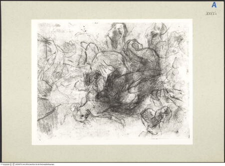 Vorderseite von bh265076_recto