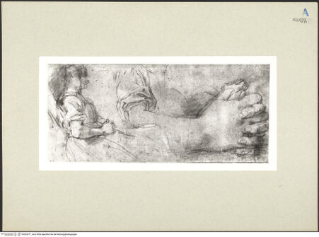 Vorderseite von bh265077_recto