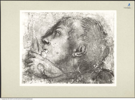 Vorderseite von bh265079_recto