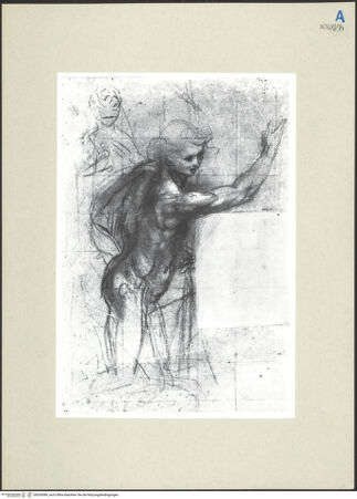 Vorderseite von bh265084_recto