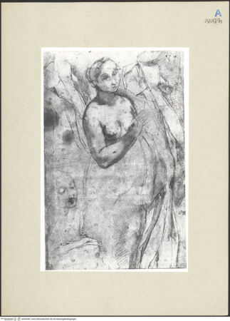 Vorderseite von bh265087_recto