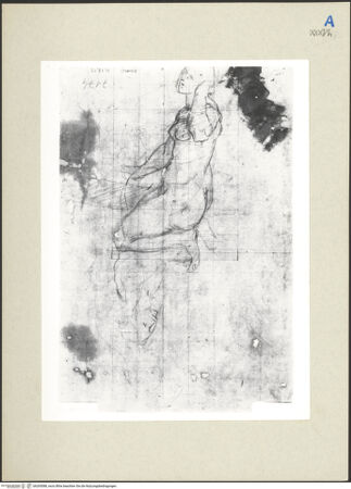 Vorderseite von bh265088_recto