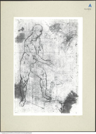 Vorderseite von bh265089_recto