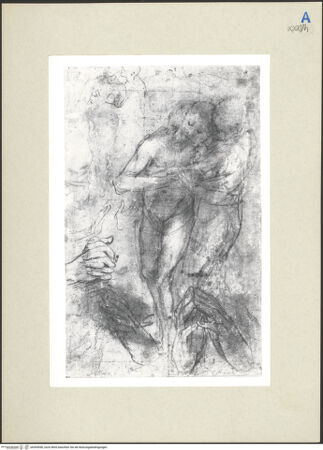 Vorderseite von bh265090_recto