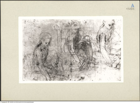 Vorderseite von bh265092_recto