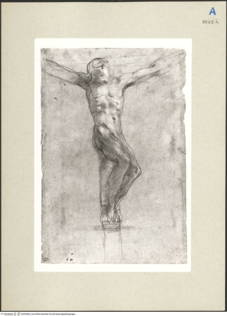 Vorderseite von bh265093_recto