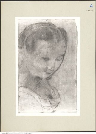 Vorderseite von bh265096_recto