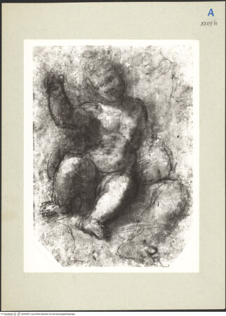 Vorderseite von bh265097_recto